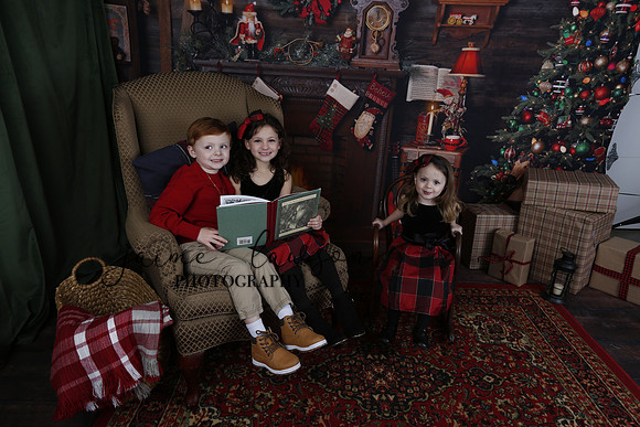 2020 Holiday Mini Session - Onuska