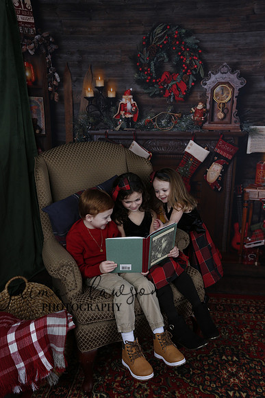2020 Holiday Mini Session - Onuska