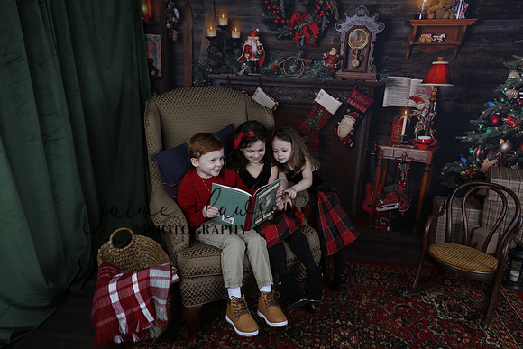 2020 Holiday Mini Session - Onuska