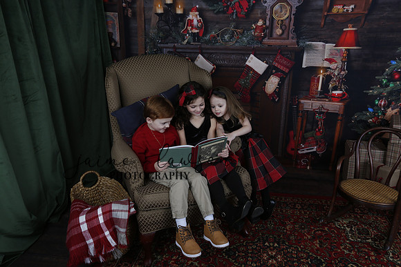 2020 Holiday Mini Session - Onuska