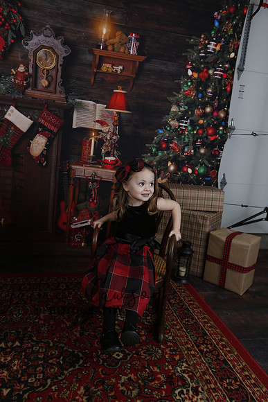2020 Holiday Mini Session - Onuska