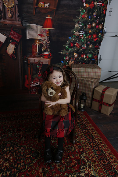2020 Holiday Mini Session - Onuska