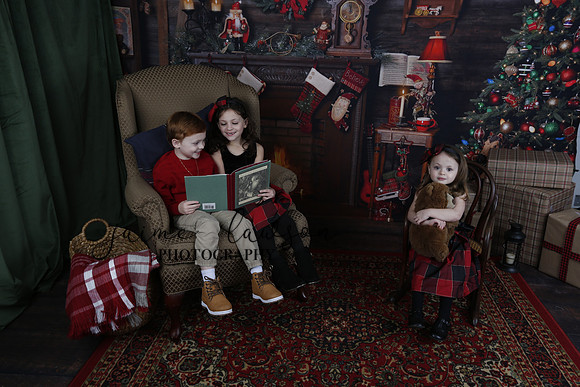 2020 Holiday Mini Session - Onuska