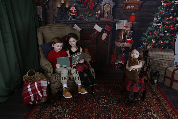 2020 Holiday Mini Session - Onuska