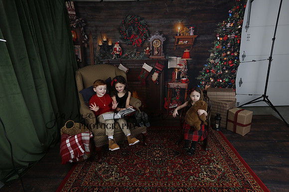 2020 Holiday Mini Session - Onuska