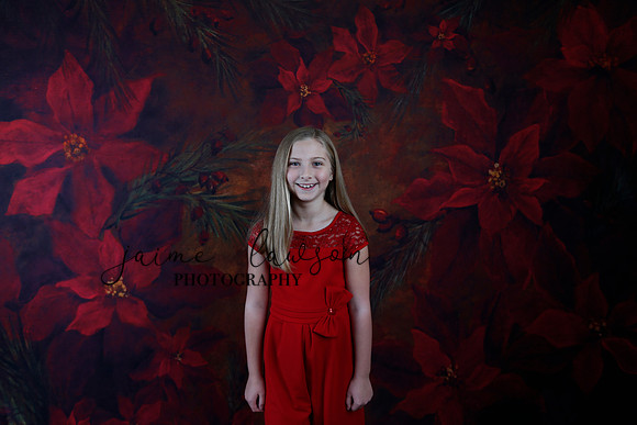 2020 Holiday Mini Session - Slepokura