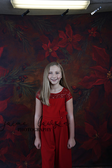 2020 Holiday Mini Session - Slepokura