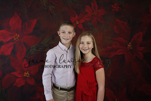 2020 Holiday Mini Session - Slepokura