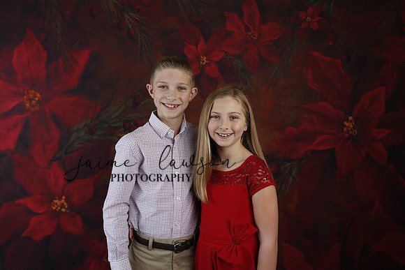 2020 Holiday Mini Session - Slepokura