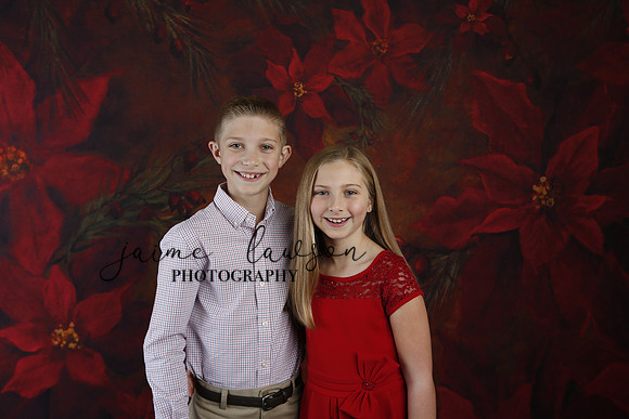 2020 Holiday Mini Session - Slepokura