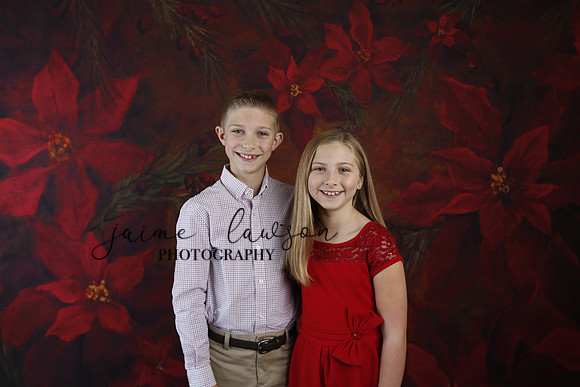2020 Holiday Mini Session - Slepokura