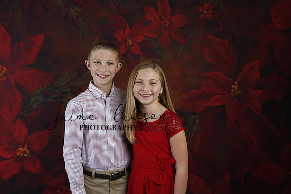 2020 Holiday Mini Session - Slepokura