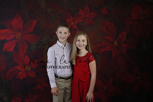 2020 Holiday Mini Session - Slepokura
