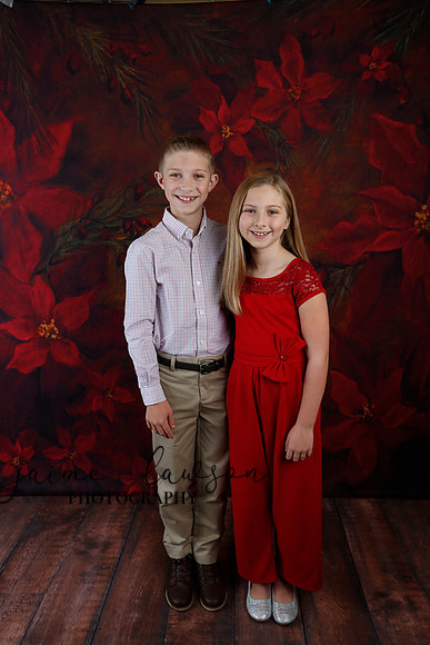 2020 Holiday Mini Session - Slepokura