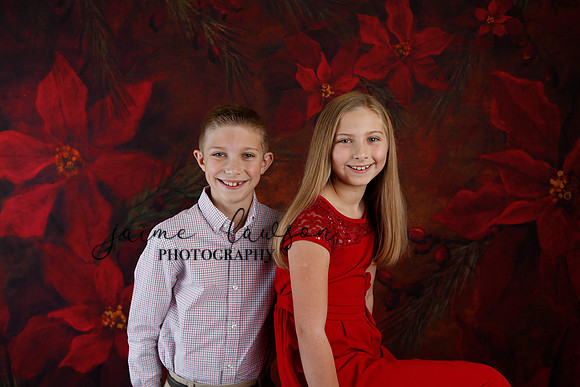 2020 Holiday Mini Session - Slepokura