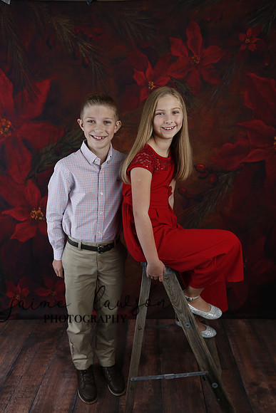 2020 Holiday Mini Session - Slepokura