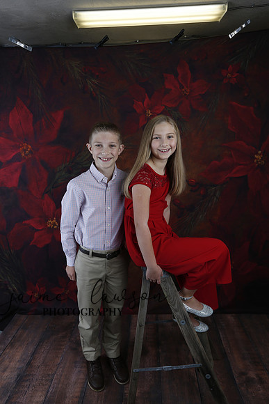 2020 Holiday Mini Session - Slepokura
