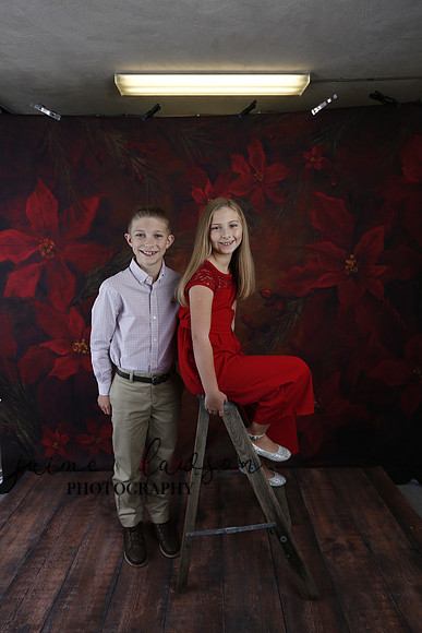 2020 Holiday Mini Session - Slepokura