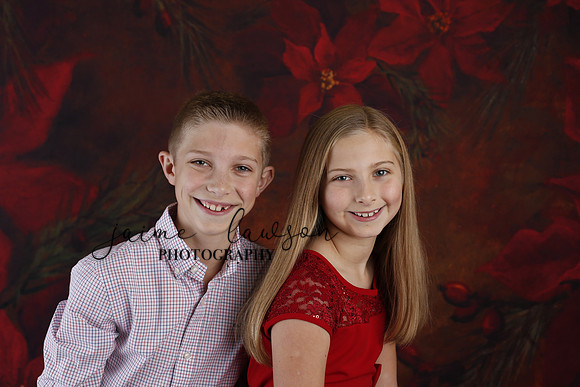 2020 Holiday Mini Session - Slepokura
