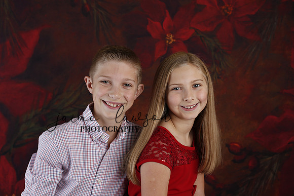 2020 Holiday Mini Session - Slepokura