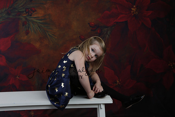 2020 Holiday Mini Session - Biland