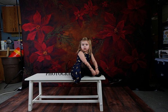 2020 Holiday Mini Session - Biland