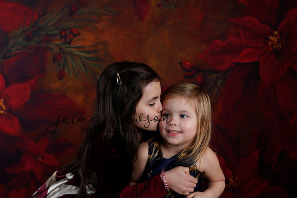 2020 Holiday Mini Session - Biland