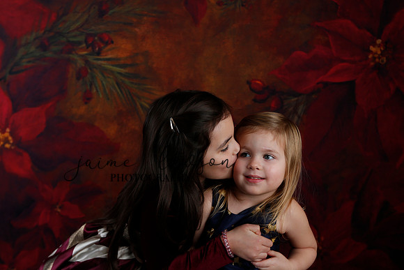 2020 Holiday Mini Session - Biland