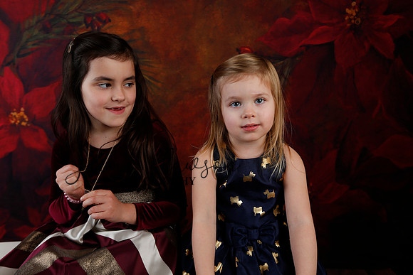 2020 Holiday Mini Session - Biland