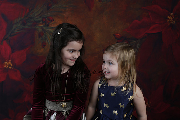 2020 Holiday Mini Session - Biland