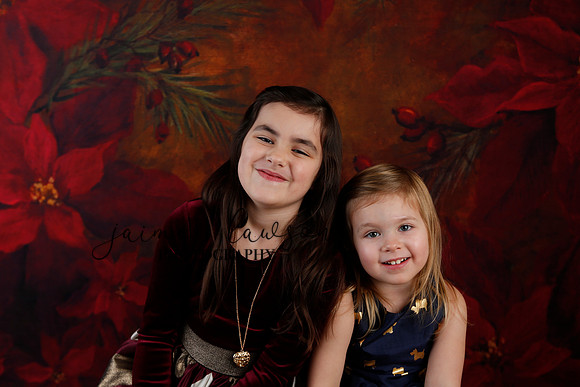 2020 Holiday Mini Session - Biland