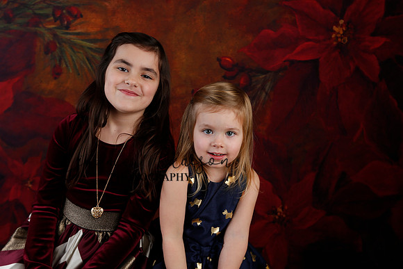 2020 Holiday Mini Session - Biland