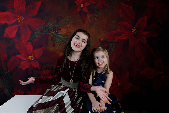 2020 Holiday Mini Session - Biland