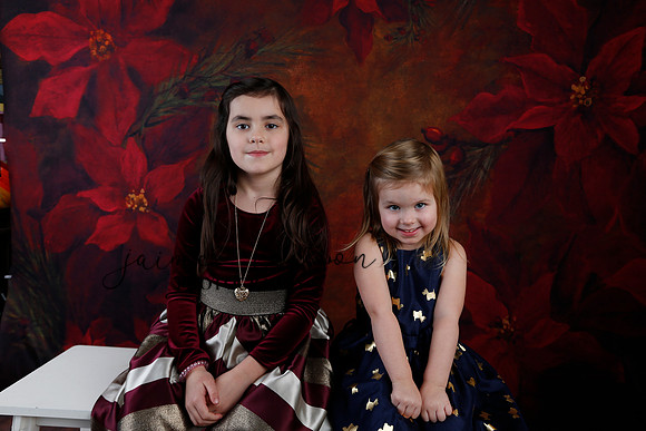 2020 Holiday Mini Session - Biland