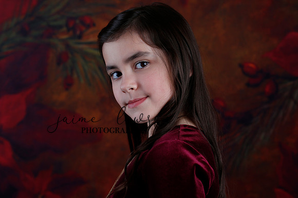 2020 Holiday Mini Session - Biland