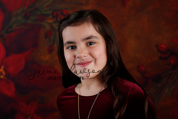 2020 Holiday Mini Session - Biland
