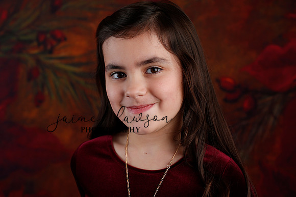 2020 Holiday Mini Session - Biland