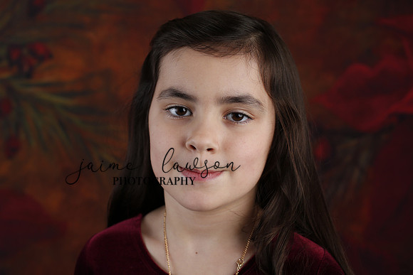 2020 Holiday Mini Session - Biland