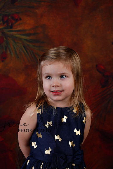 2020 Holiday Mini Session - Biland