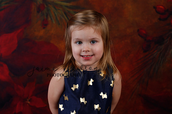 2020 Holiday Mini Session - Biland