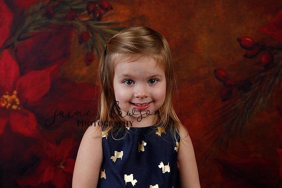 2020 Holiday Mini Session - Biland