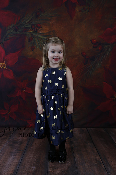 2020 Holiday Mini Session - Biland