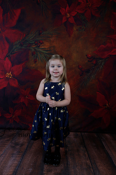 2020 Holiday Mini Session - Biland