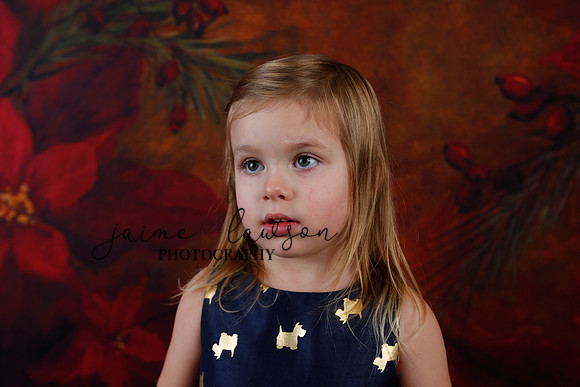 2020 Holiday Mini Session - Biland