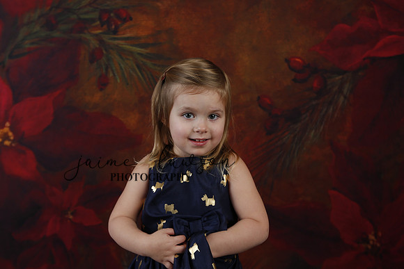 2020 Holiday Mini Session - Biland