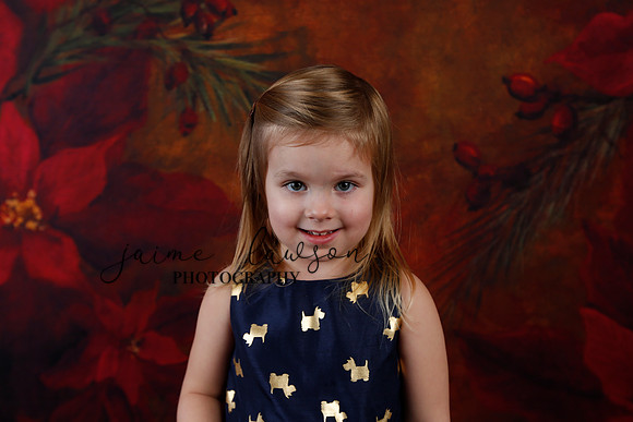 2020 Holiday Mini Session - Biland