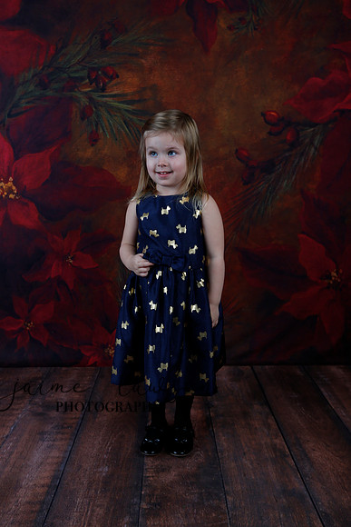 2020 Holiday Mini Session - Biland