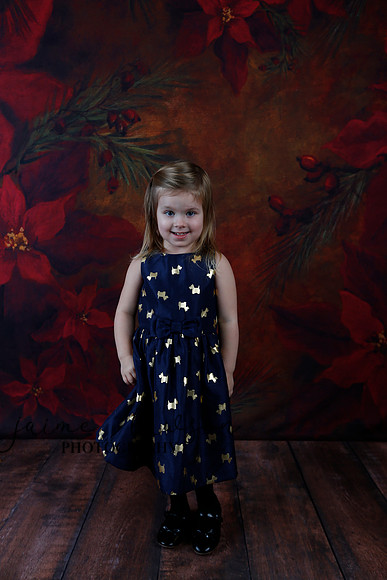 2020 Holiday Mini Session - Biland