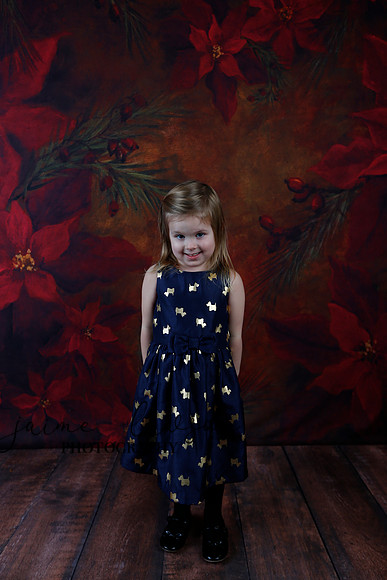 2020 Holiday Mini Session - Biland