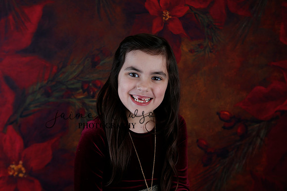 2020 Holiday Mini Session - Biland